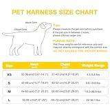 Feycig Hundegeschirr Kleine Hunde, Anti Zug Einstellbar Reflektierend Geschirr, Atmungsaktiv Weiches aus Mesh Geschirr Hund Leichtes Welpengeschirr Brustgeschirr mit Griff (Gelb, Medium)