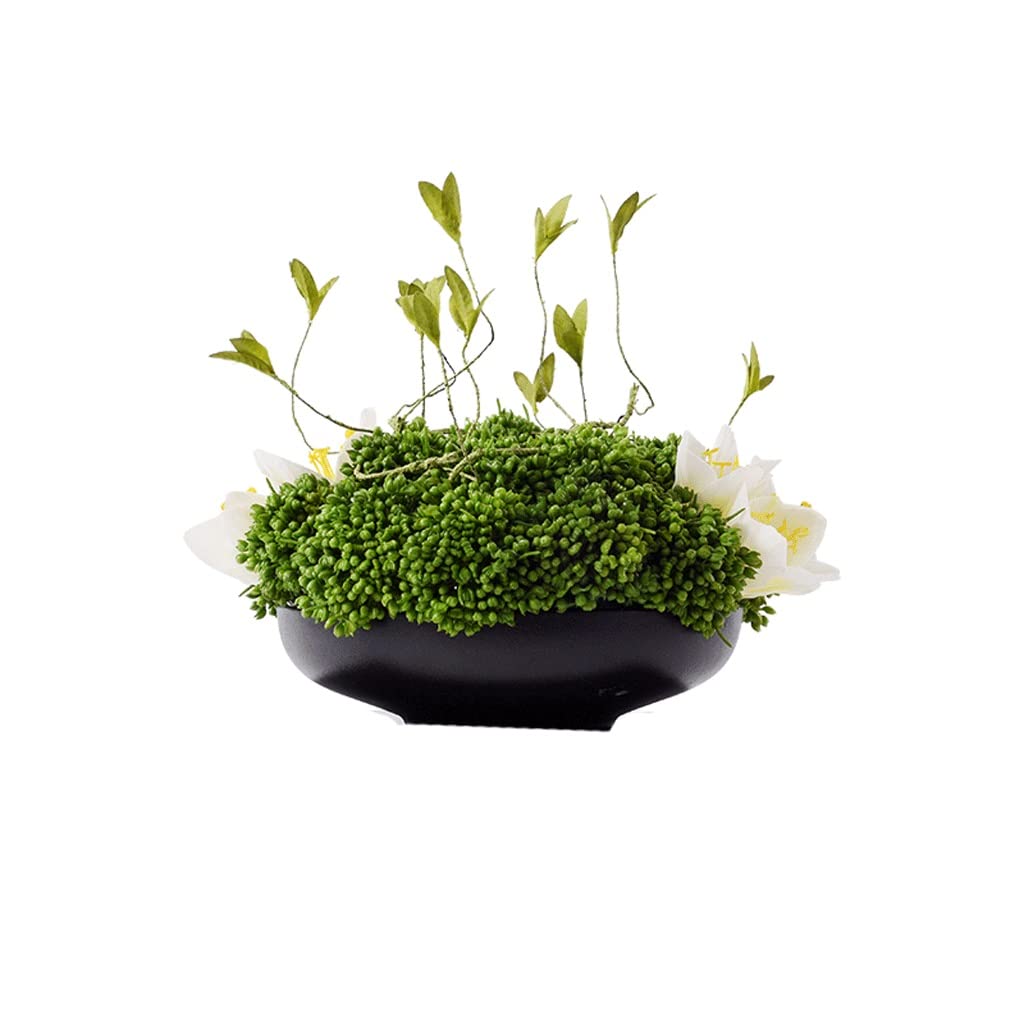 Planta verde en maceta SSDD decoracion sin mantenimiento para entrada de casa y salon