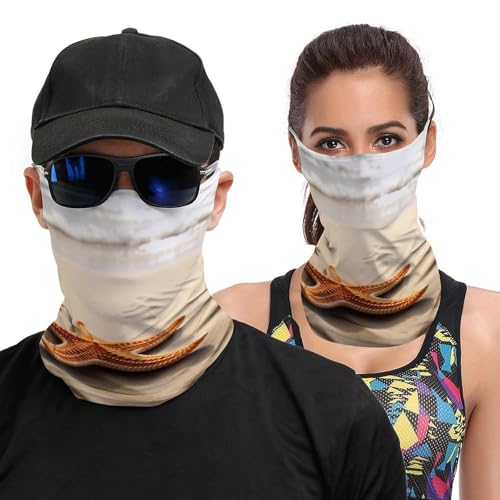 Neck Gaiter Beach Landscape Face Mask for Travel Face Cover Scarf for Men Women Elastic Headbands Wind-proof Bandana for Skiing Fishing Hiking Cycling