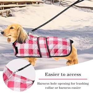 Geyecete Waterproof Warm Thermal Quilted Dachshund Coat with Warm Fleecy Lining Inside,Outdoor Dog Apparel with Adjustable Bands for Small,Medium Dog-Pink-S Geyecete Waterproof Warm Thermal Quilted Dachshund Coat with Warm Fleecy Lining InsideOutdoor Dog Apparel with Adjustable Bands for SmallMedium Dog Pink S