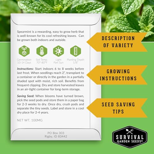 Spearmint Seeds for Planting – Non-GMO Heirloom Mint for Indoor or Outdoor Herb Gardens, Fresh Spearmint for Tea & Cooking (Mentha spicata) - Survival Garden Seeds (1 Pack) - Image 2
