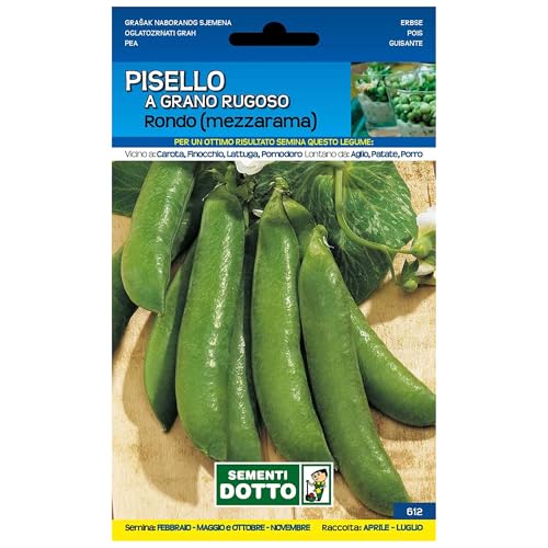 Sicignano | Semi Pisello a Grano Rugoso Rondo - Legume Ricco di Vitamine, Busta Extra - 1 Confezione da 100g, Raccolta Primaverile-Estate