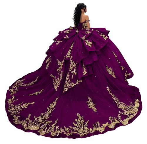 Ftupza Gold Appliques Quinceanera Dress Tassel Ball Gown with Bow 16