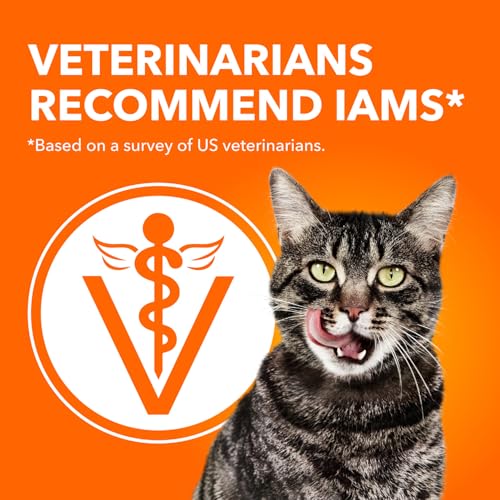 IAMS Proactive Health Adult Dry Cat Food, Chicken Flavour, 3.18kg by IAMS - Image 4
