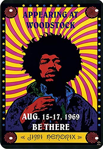 Plaque Métal Décorative Jimi Hendrix 30x20 Cm - Parfaite Pour Déco Chambre Ou Garage
