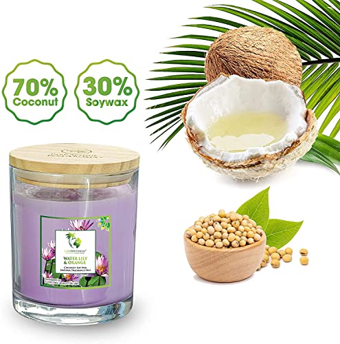 Ecoaroma Scented Candles Organic Coconut-Soy Wax. Natural Flower Extract Fragrance Oils Premium Botanical Candle Pack 2-12 Oz Jars Pineapple Coconut #TOP6
