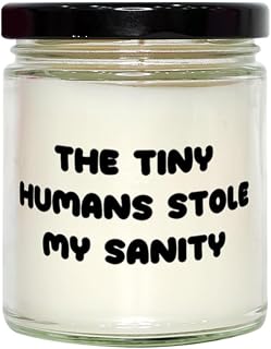 Gag Mum Gifts, The Tiny Humans Stole My Sanity, Sarcasm Scent Candle For Mom From Son, Mothers Day, Present, Birthday