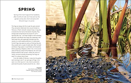 RHS How to Create a Wildlife Pond: Plan, Dig, and Enjoy a Natural Pond in Your Own Back Garden (DK: Royal Horticultural Society (RHS)) - Image 8