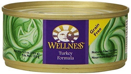 Wellness Turkey Formula Can Cat