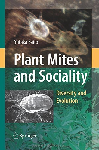 Plant Mites and Sociality: Diversity and Evolution