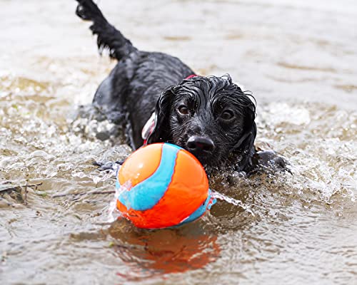 Chuckit! Amphibious Mega Ball Or Roller That Floats For Medium And Large Dogs #TOP5