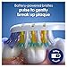 ORAL-B PRO-Clean Pulsar Battery-Powered Toothbrush – Superior 5-Way Plaque Removal – Medium Bristles, 2X