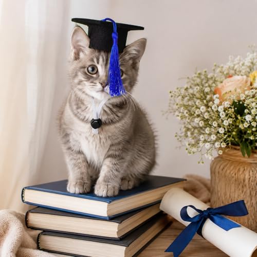 Gorros de graduación para perros pequeños LUOZZY M miniatura 4
