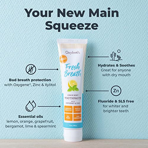 Premium Oxyfresh Maximum Fresh Breath Lemon Mint Toothpaste - Clean Teeth & Fresh Breath - Natural Essential Oils & Natural Xylitol To Help Fight Tartar - Sls & Fluoride Free, 3-5Oz #TOP1