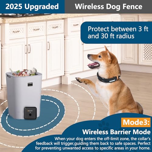 Dog wearing wireless collar in outdoor yard