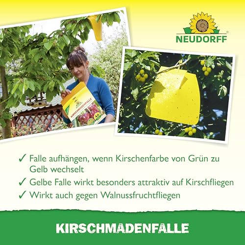 Neudorff KirschmadenFalle – Schützt Kirschen und Walnüsse vor Madenbefall, insektizidfreie Leimfalle, 7 Stück
