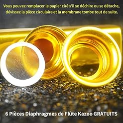 NouveLife Lot de 6 Kazoo Métal en Alliage d’Aluminium Longueur de 12cm avec Membrane pour Accompagnement de Guitare ou d… - Les Beatles, Paul McCartney, John Lennon, RIngo Starr, George Harrison NouveLife Lot de 6 Kazoo Métal en Alliage d'Aluminium Longueur de 12cm avec Membrane pour Accompagnement de Guitare ou d… – Image 4