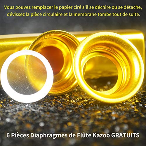 NouveLife Lot de 6 Kazoo Métal en Alliage d’Aluminium Longueur de 12cm avec Membrane pour Accompagnement de Guitare ou d… - Les Beatles, Paul McCartney, John Lennon, RIngo Starr, George Harrison NouveLife Lot de 6 Kazoo Métal en Alliage d'Aluminium Longueur de 12cm avec Membrane pour Accompagnement de Guitare ou d… – Image 5