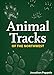Animal Tracks of the Northwest Playing Cards (Nature's Wild Cards)