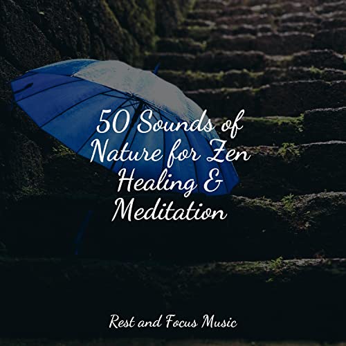 Riproduci 50 Sounds of Nature for Zen Healing & Meditation di Sleeping ...