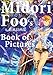 Midori Foo's Book of Pictures