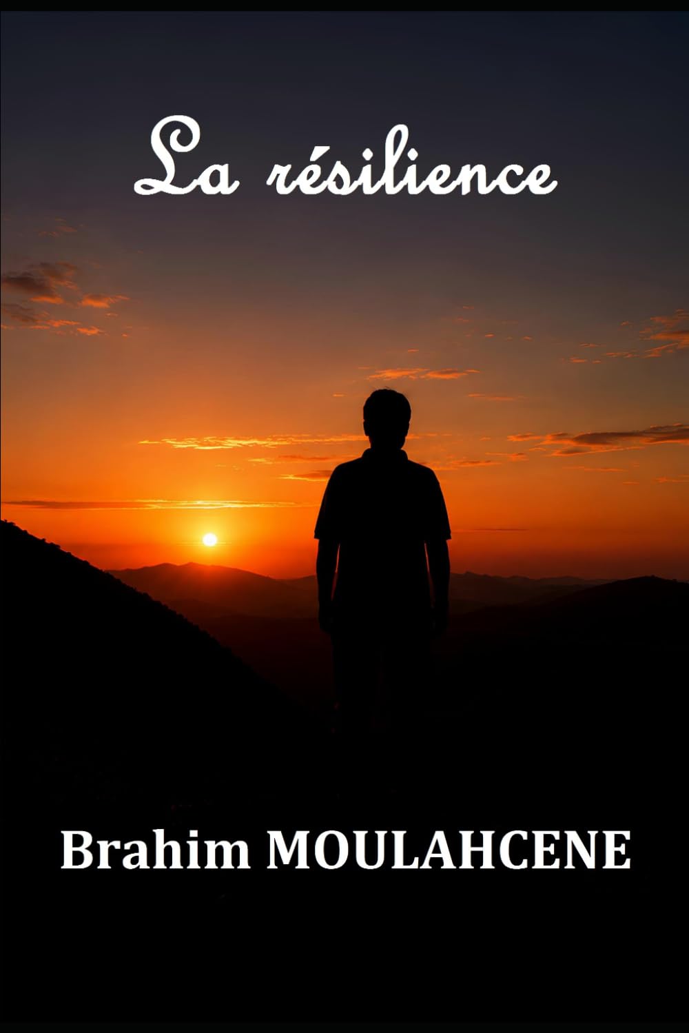 La résilience