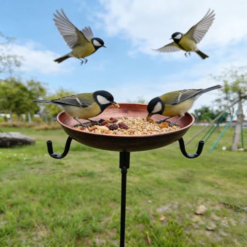 Mangeoire à oiseaux résistante aux intempéries et à la rouille - 8