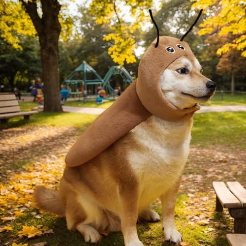 Disfraz para mascotas tipo cucaracha ideal para cosplay al aire libre y fiestas temáticas 6