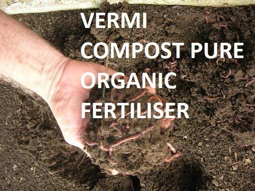 Kechua Khad Vermi Compost for Garden (500gm)
