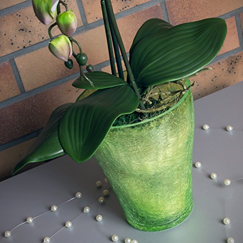 Polnix Pot van keramiek, serie orchi, transparant, groen, diameter 13,5 cm, hoogte 16,5 cm - Image 4