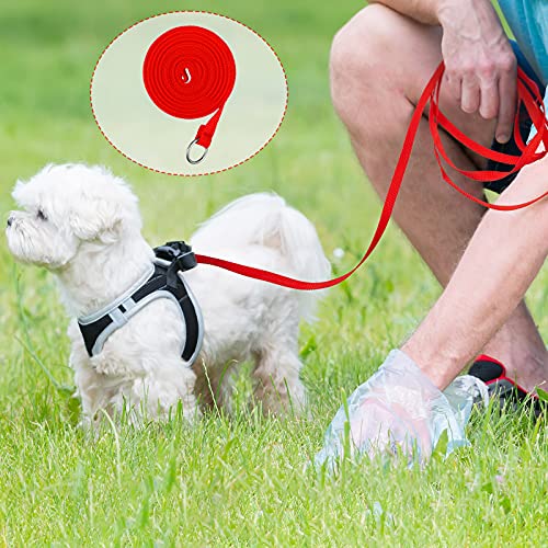 Nuanchu 60 Pieces Puppy Slip Leash Pet Pulling Leashes With O-Ring For Puppy Pet Animal Control Grooming Shelter Rescues Walking Training Doggy Daycare #TOP6