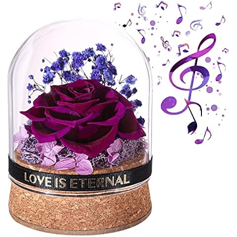 LOVCAS Valentines Day Gifts for Her Rotating Music Immortal Flower Rose, You are My Sunshine Music Melody, Music Box Mechanical Instrument, Suitable for Valentine's Day, Birthday Gifts (Purple) Cover