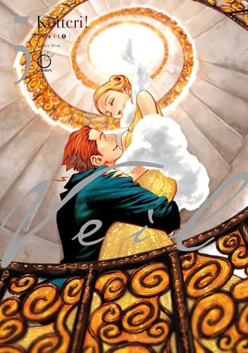 Veil Volume 5: Golden Blink