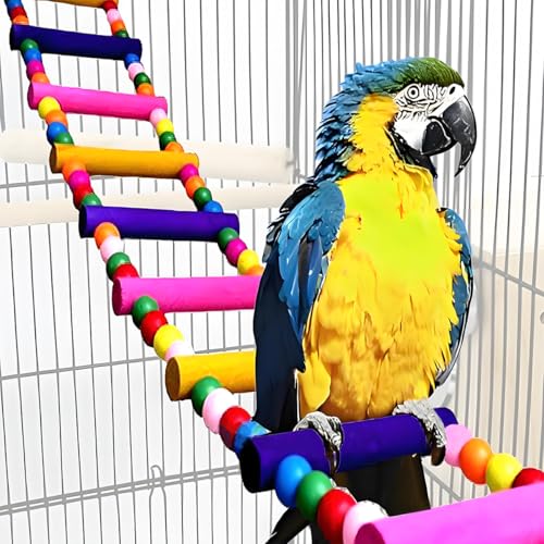 ̂ IE̋ uR uR̂ ͂ AtJO[ ZLZCCR IJCR IJCR IJCR CR ؐ̂͂ uR̂ Vтg[jOp (25C` - 10͂)