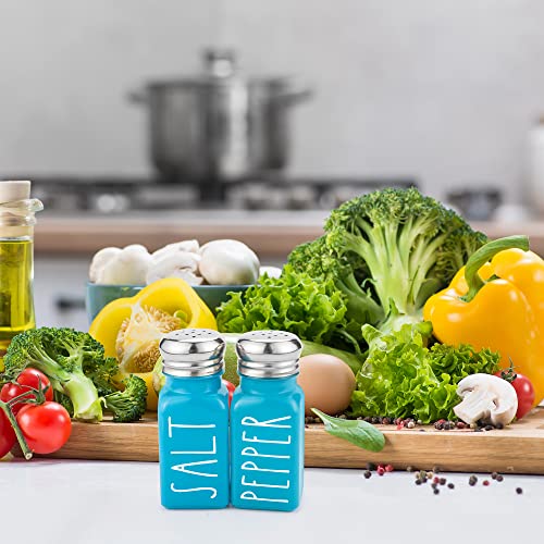 Teal Salt And Pepper Shakers Set By Brighter Barns - Turquoise Kitchen Decor & Teal Kitchen Accessories - Cute Modern Farmhouse Glass Shakers For Home Restaurants Wedding & Stainless Steel Lid (Teal) #TOP6