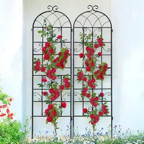 Generic 2-Pack Metal Garden Trellis Cover