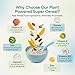 Else Nutrition Super Cereal For Babies 6 mo+, Baby Cereal with Real Whole Plants, Nutritionally Balanced meal, with gluten free carbs and plant protein (Mango, 1 Pack)