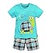 Tortoise Little Boys Cotton Short Sleeve Set 2Pcs Blue,2/3Y