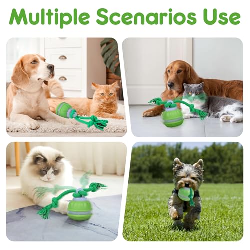 Diealles Shine Interaktives Hundespielzeug, Hundespielzeug Ball Mit 2 Kauschnüren, Spielzeug Für Hunde Gegen Langeweile, Hundeball Elektrisch USB Aufladbar, Selbstrollender Ball Für Kleine Hunde