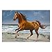 jeansame Puzzle en bois 1000 pièces - Cheval châtaignier au galop sur la côte - Cadeau pour adultes et enfants - Multicolore