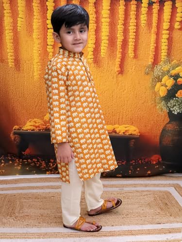Pure Cotton Full Sleeve Hathi Print Kurta Pajama for Boys3