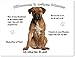 Produktbild Merchandise for Fans Blechschild/Warnschild/Türschild - Aluminium - 15x20cm - - Willkommen in Meinem Zuhause - Motiv: Cane Corso/Italienischer Mastiff braun - 06