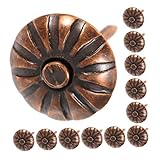 Facile à installer : équipé de clous ronds pour une installation rapide et sans effort, aucun outil supplémentaire requis, clous pour meubles, clous pour meubles