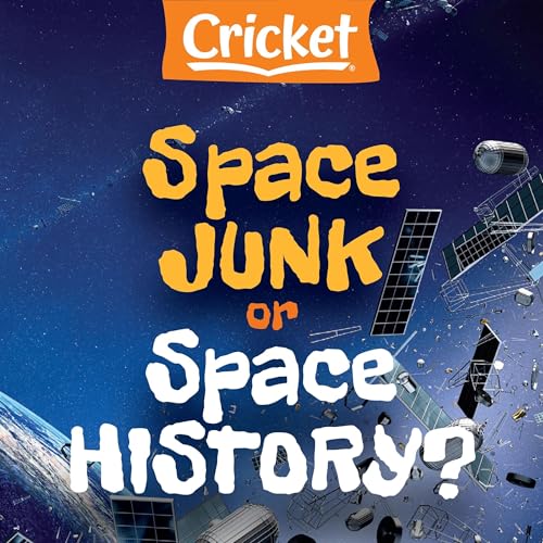 Space Junk or Space History? by Gordon Grimwade episode artwork