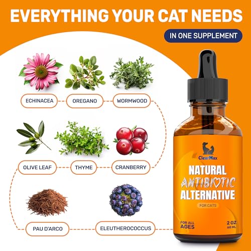 Cat Antibiotic to Help with Cough & Allergies – ​​Antibiotics for Cats to Aid with UTIs and Digestive Moments – HIPS & Joints Support – Attractive Chicken Taste – 2 Oz Bottle