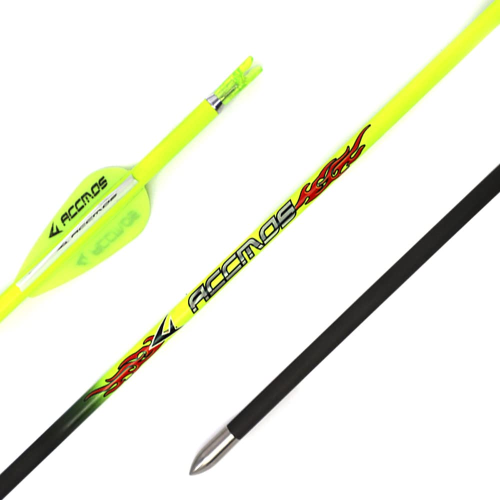 12 Flèches Carbone Personnalisées Spine 400-1000 - Diam. 4.2mm Pour Arc Recurve & Compound
