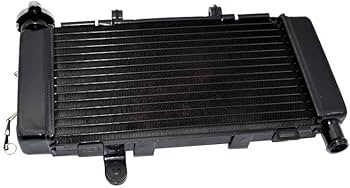 Y*i様 Ｖツインマグナ250 イージライダーズアルミラジェーターグリル廃盤　マ Y*i様 Vツインマグナ250 イージライダーズアルミラジェーター