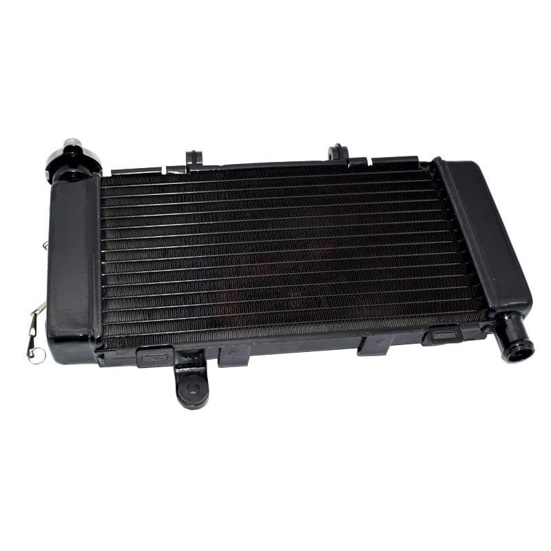 Y*i様 Ｖツインマグナ250 イージライダーズアルミラジェーターグリル廃盤　マ Vツインマグナ250 イージライダーズアルミラジェーターグリル