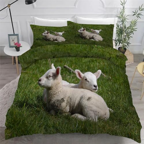 Housse de couette 160x200 en microfibre douce et finitions zip
