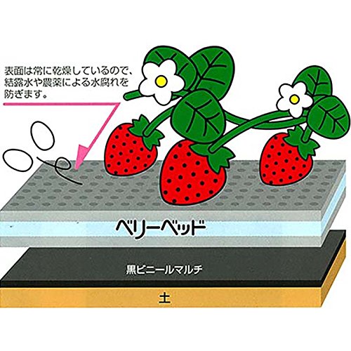 Amazon.co.jp: 北海道・沖縄・離島配送不可 ベリーベッド NW70N-25
